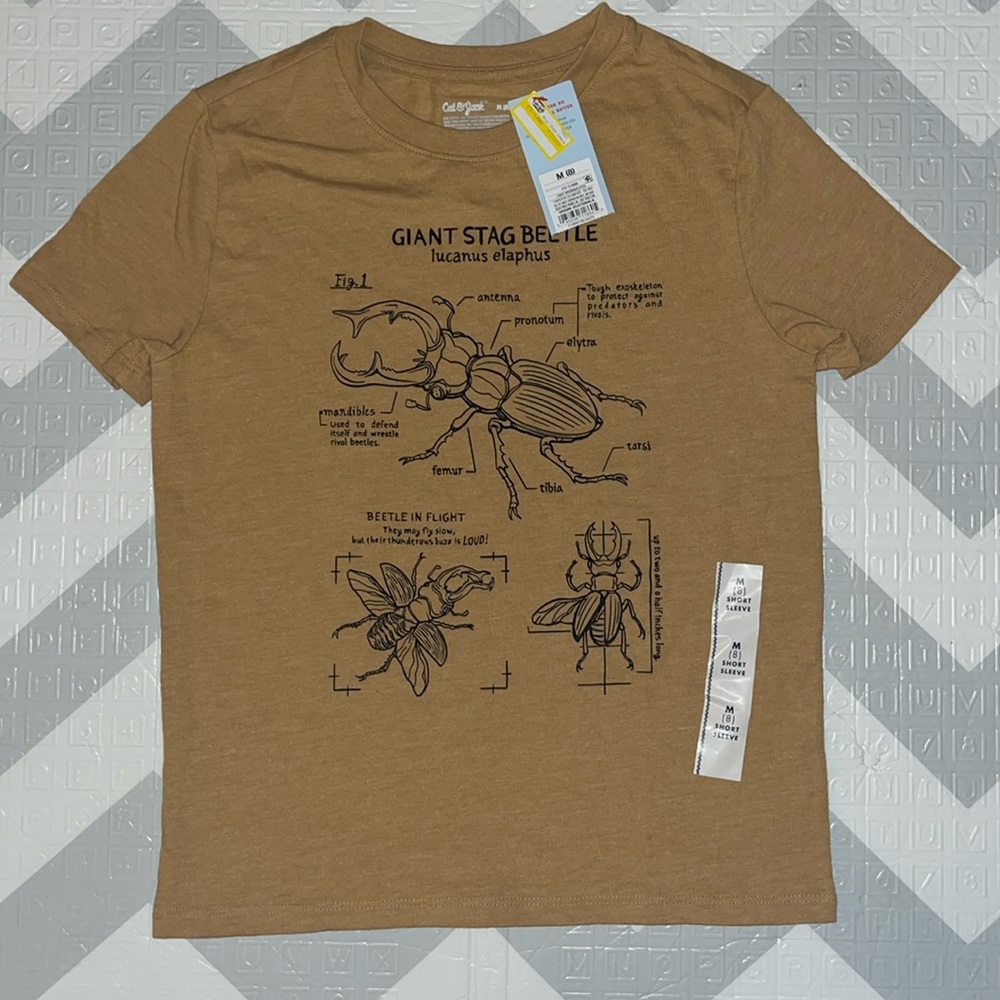 Boys bug style graphic T shirt size 8